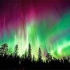 Aurora Borealis Trees Silhouette paint by numbers