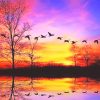 Waterfowl Sunset NEW Paint By Numbers