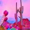 Aesthetic Sky Cactus NEW Paint By Numbers