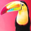 Colorful Toucans NEW Paint By Numbers
