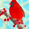 Red Cardinal paint by numbers