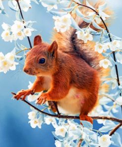 Red Squirrel With Flowers paint by numbers