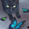 Black Cat And Butterflies Paint by numbers