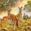 Wild Kangaroos And Animals paint by numbers