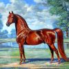 Brown Horse Paint by numbers