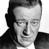 John-Wayne-portrait-paint-by-number-1