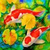 Koi Fish In Pond Paint by numbers