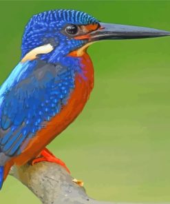 blue-kingfisher-bird-paint-by-numbers