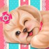 cute-puppy-paint-by-numbers