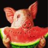 pig-eating-watermelon-paint-by-numbers