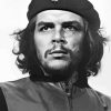 Black And White Che Guevara Paint by numbers