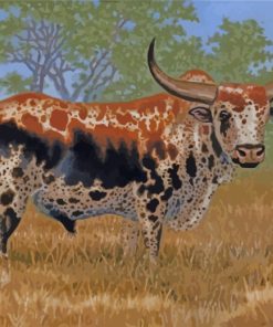 Nguni Bull Paint by numbers