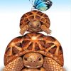 Tortoises-and-butterfly-paint-by-numbers