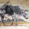 Black And White Nguni Cattle Paint by numbers