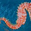 Seahorse Paint by numbers