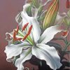 white-magnolia-flower-2-paint-by-numbers