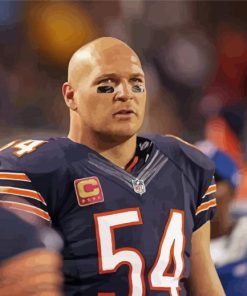 Brian Urlacher paint by number