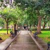 Bienville Square Garden paint by number