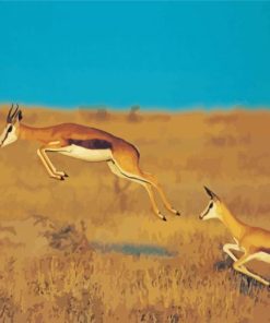 Springbok Animals paint by number