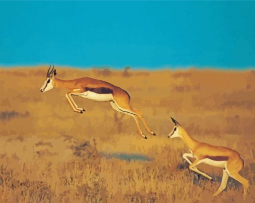 Springbok Animals paint by number