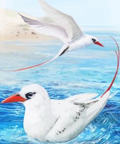 Tropic Sea Birds paint by number