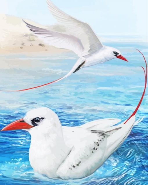 Tropic Sea Birds paint by number