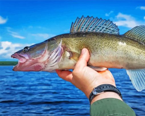 Walleye Fish paint by number