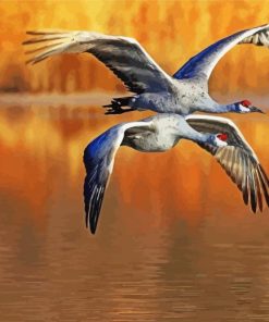 Flying Sandhill Cranes paint by number