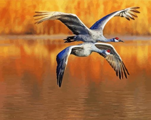 Flying Sandhill Cranes paint by number