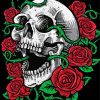 Roses Skull paint by number