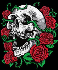 Roses Skull paint by number