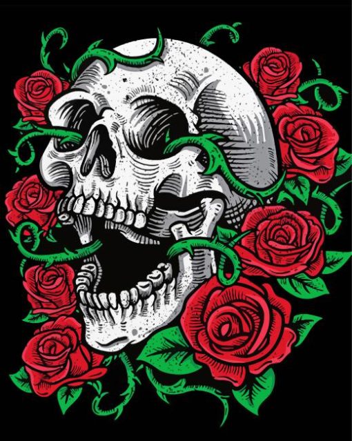 Roses Skull paint by number