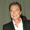 The American Actor David Cassidy paint by number