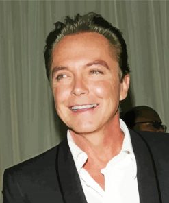 The American Actor David Cassidy paint by number