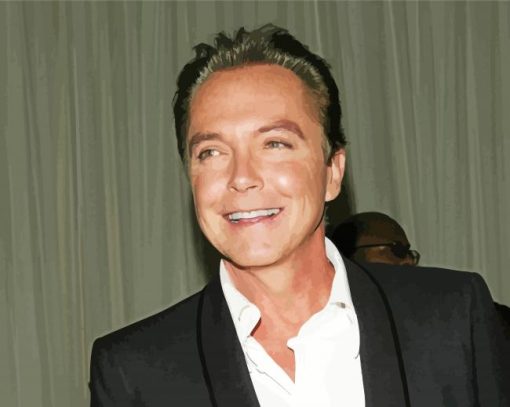 The American Actor David Cassidy paint by number