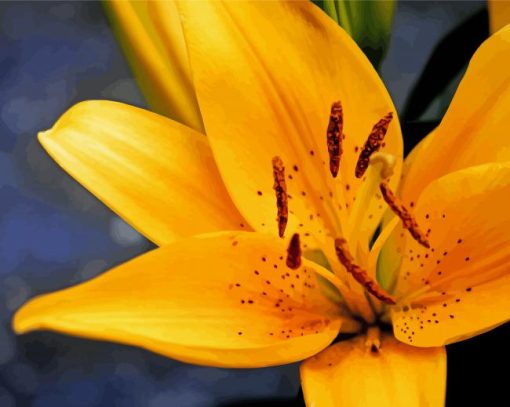 Yellow Gold Lily paint by number