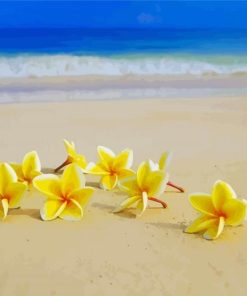 Beach Yellow Flowers paint by number