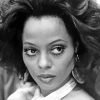 Black And White Diana Ross paint by number