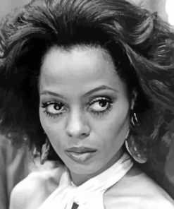 Black And White Diana Ross paint by number