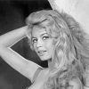 Brigitte Bardot paint by number