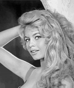 Brigitte Bardot paint by number