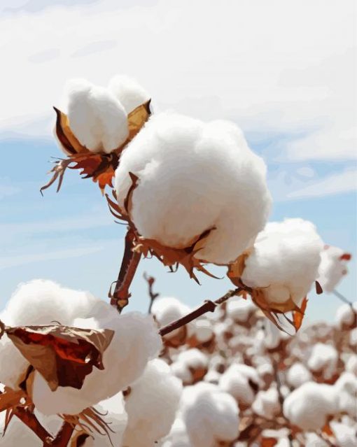 Cotton Field paint by number