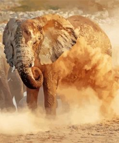 Elephant Dust Bath paint by number