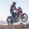 Honda Africa Twin paint by number