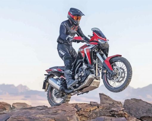 Honda Africa Twin paint by number