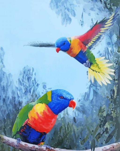 Rainbow Lorikeets Birds paint by number