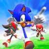 Shadow And Knuckles And Sonic paint by number