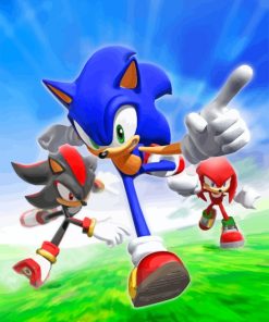 Shadow And Knuckles And Sonic paint by number