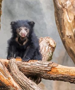 Sloth Bear On Tree paint by number