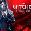 The Witcher Wild Hunt Game Poster paint by number